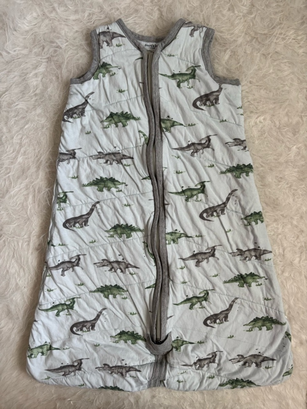 Burt's Bees Light Blue Sleep Sack with Green and Gray Dinosaur Print